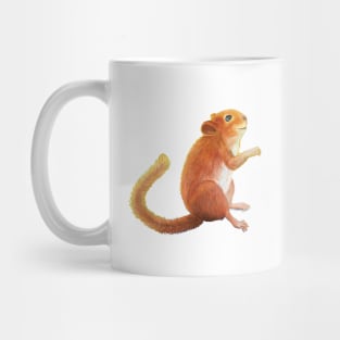 Hazel Dormouse (Muscardinus avellanarius) Looking up to the Sky Mug